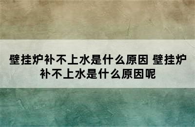 壁挂炉补不上水是什么原因 壁挂炉补不上水是什么原因呢